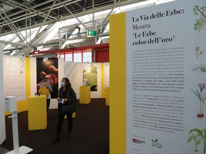 `La Via delle Erbe: Le Erbe color dell'Oro` exhibition
